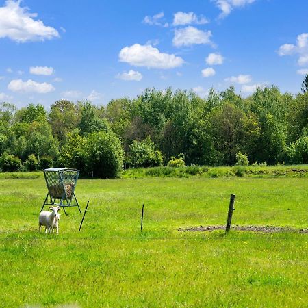 A Lovely Cottage On The Dwingelderveld Nature Park Beilen Экстерьер фото