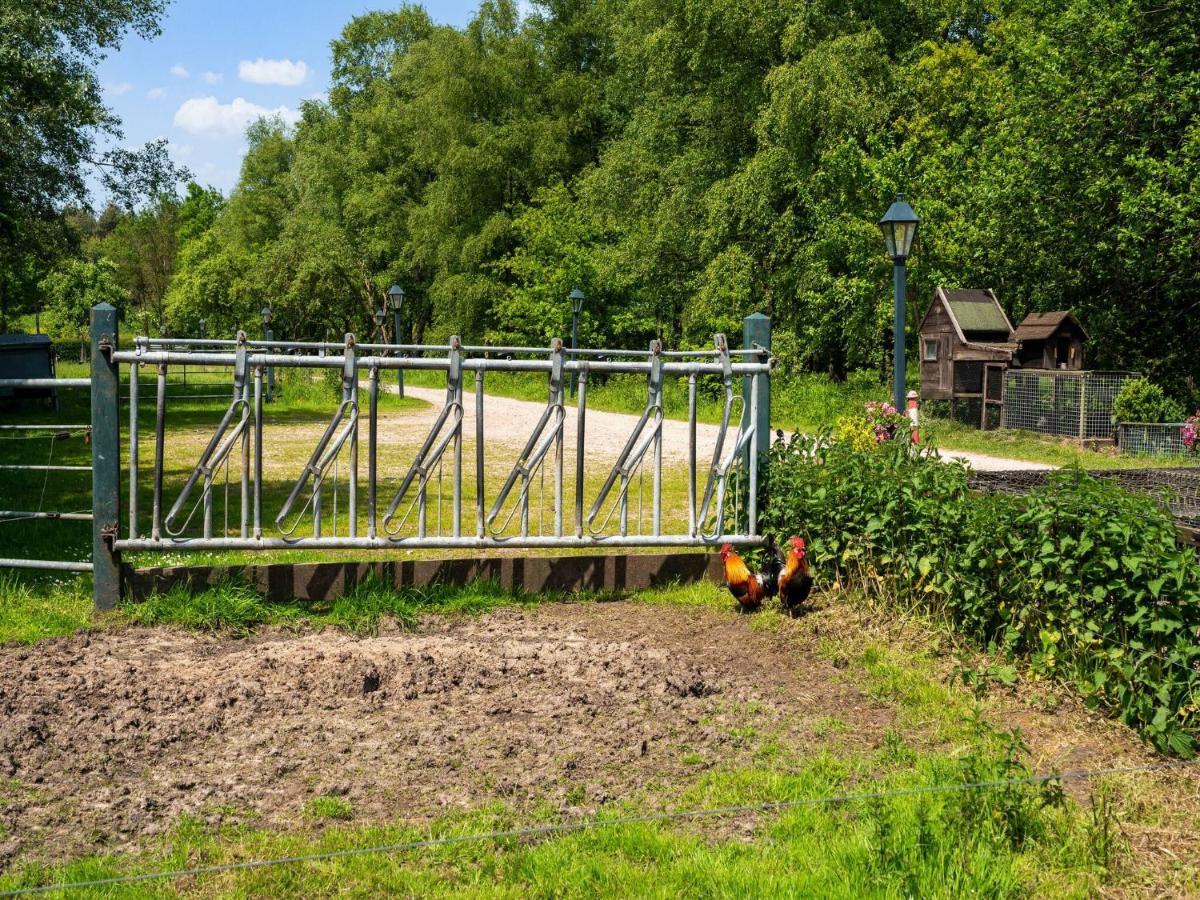 A Lovely Cottage On The Dwingelderveld Nature Park Beilen Экстерьер фото